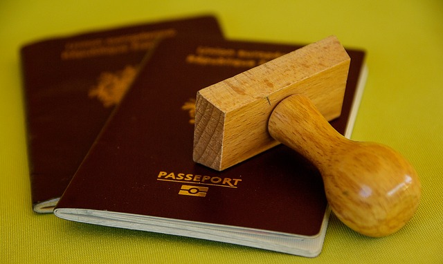 איך להוציא דרכון לילדים לארה"ב לילדים ולהישאר בחיים